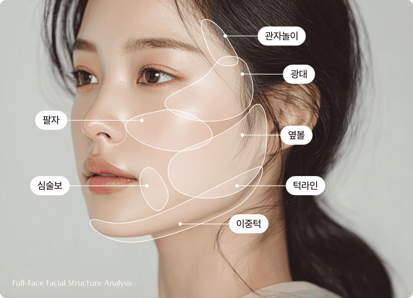 얼굴 구조 분석